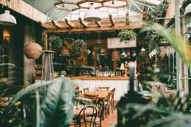 Oiyo’s garden room, full of plants and warm light